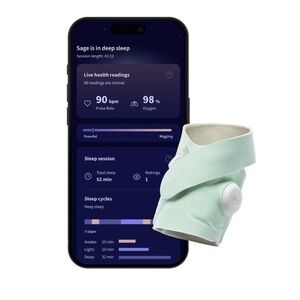 Owlet Dream Sock in Mint